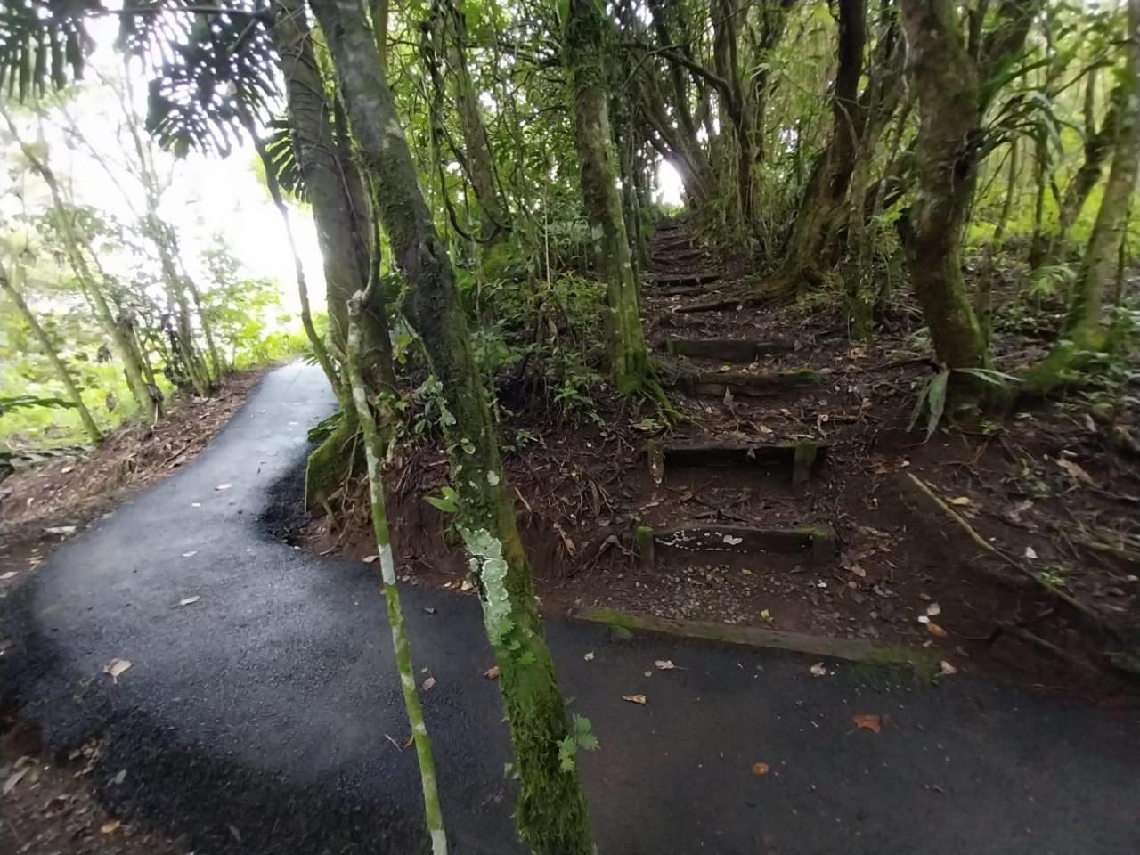 Belcruz Family Lodge Monteverde 외부 사진